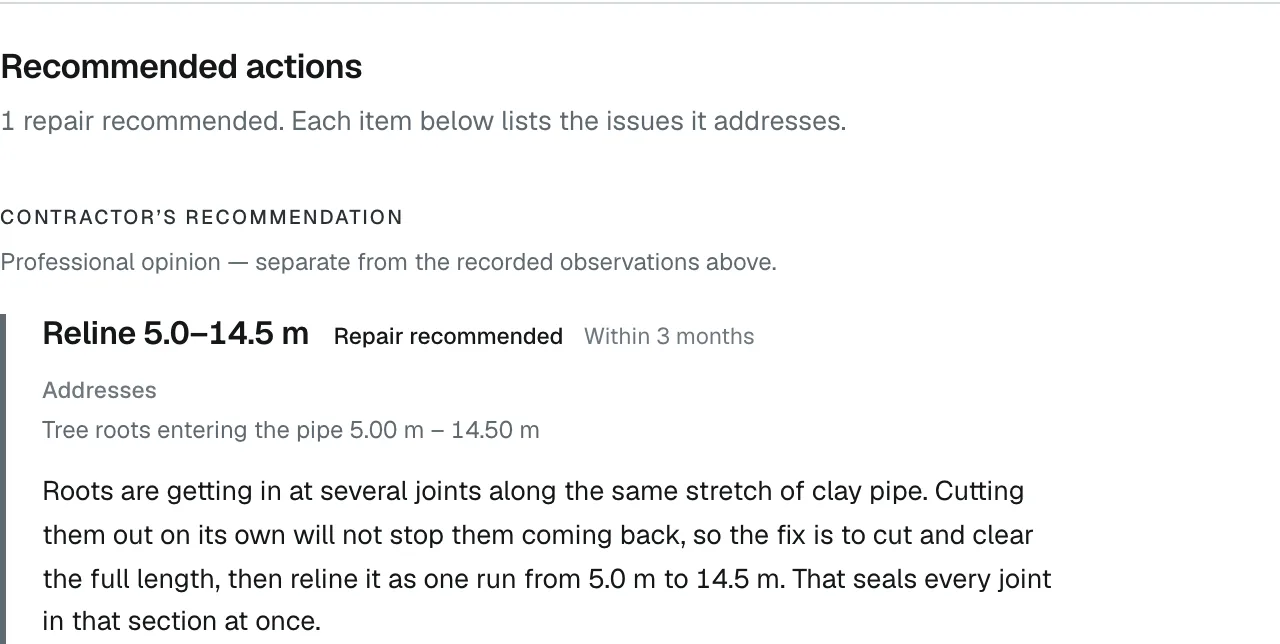The recommended actions section: 'Contractor's recommendation, professional opinion, separate from the recorded observations above.' Reline 5.0–14.5 m, repair recommended, within 3 months. Addresses tree roots entering the pipe 5.00 m to 14.50 m. Then the contractor's note explaining that cutting the roots out alone will not stop them coming back, so the fix is to cut and clear the full length and reline it as one run.
