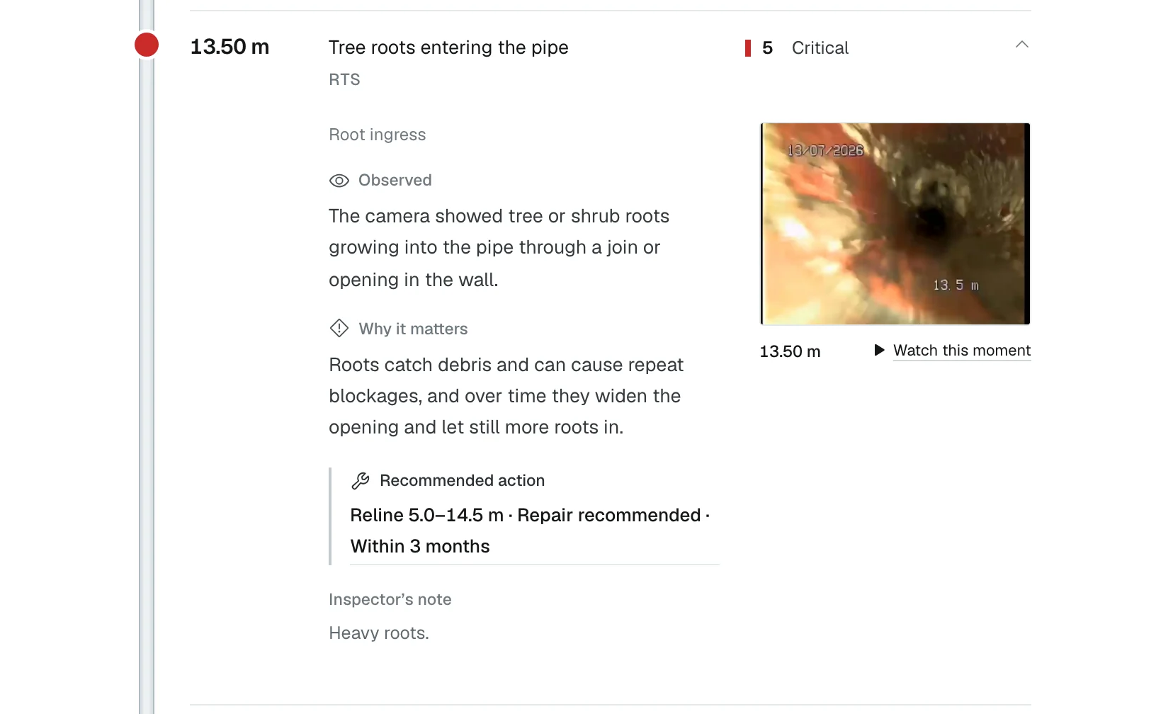 One finding in the customer's report: 13.50 m, tree roots entering the pipe, graded 5 Critical, the frame from the footage with a Watch this moment button, what was observed, why it matters, and the recommended action, reline 5.0 to 14.5 m within 3 months.