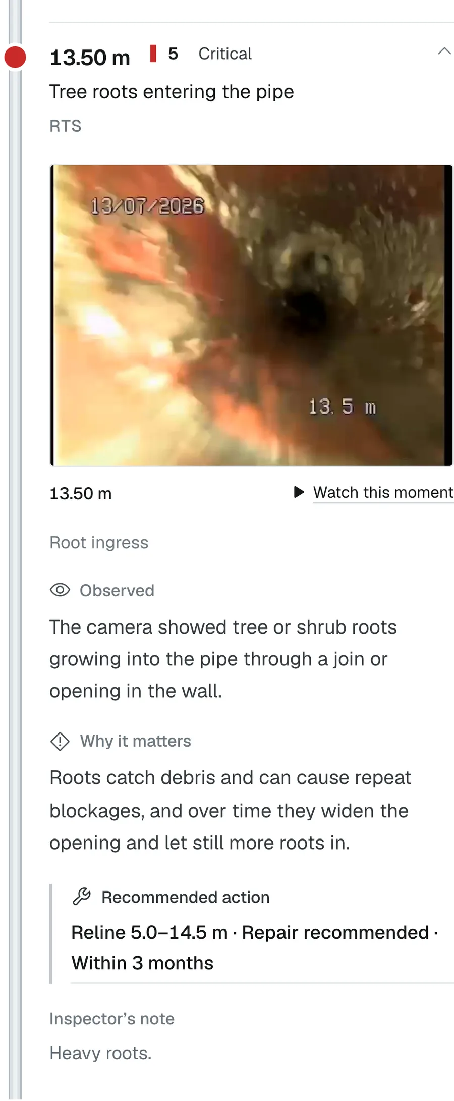 One finding opened on a phone: 13.50 m, grade 5 Critical, tree roots entering the pipe. The frame from the footage with 13.5 m burned into it and a Watch this moment button. Then 'Observed: the camera showed tree or shrub roots growing into the pipe through a join or opening in the wall', 'Why it matters: roots catch debris and can cause repeat blockages', the recommended action 'Reline 5.0–14.5 m, within 3 months', and the inspector's note 'Heavy roots'.